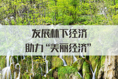 發(fā)展林下經(jīng)濟(jì)，拓展銷售渠道，讓‘美麗經(jīng)濟(jì)’更富生機(jī)