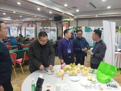 陽信鴨梨榮獲“全國綠色農(nóng)業(yè)十佳地標(biāo)品牌”稱號(hào)，綠色農(nóng)業(yè)品牌價(jià)值再提升